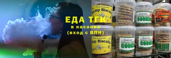 гидра Вязьма